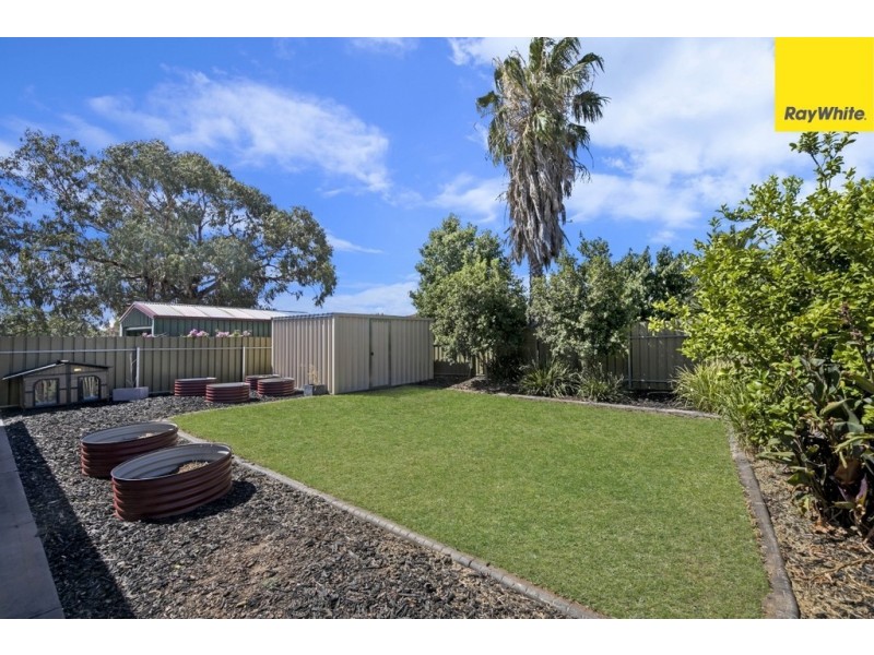 13 Mitchell Drive, Evanston Park SA 5116