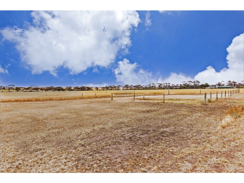 3605 Owen Road, Owen SA 5460