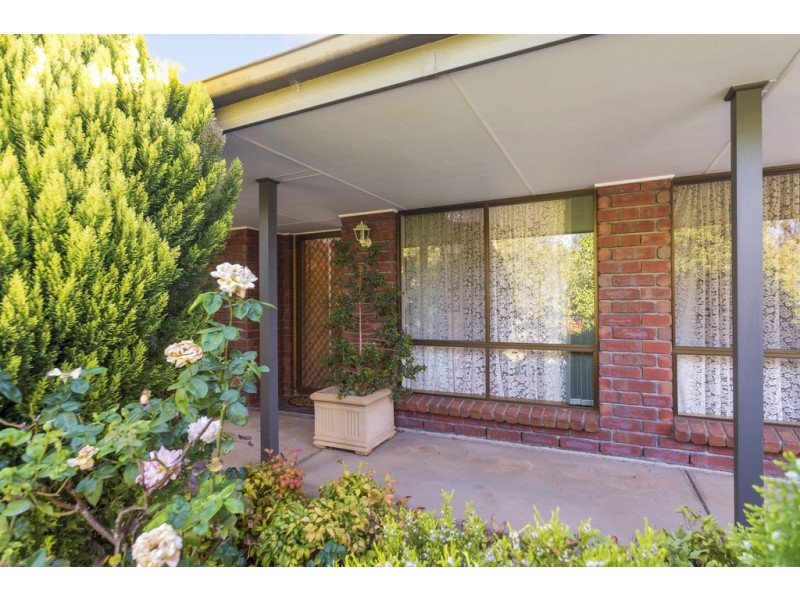 20 Rogers Street, Freeling SA 5372