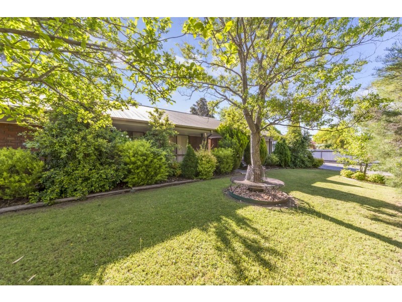 20 Rogers Street, Freeling SA 5372