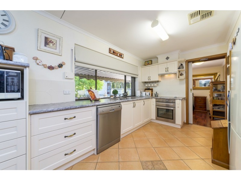 20 Rogers Street, Freeling SA 5372