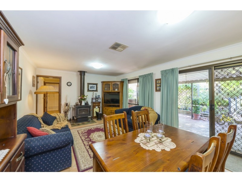 20 Rogers Street, Freeling SA 5372