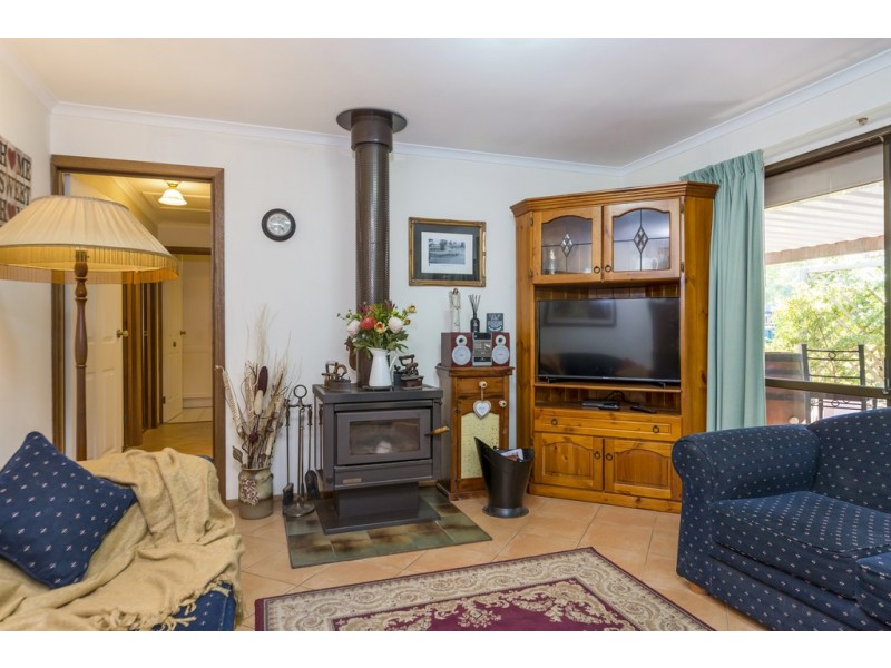 20 Rogers Street, Freeling SA 5372