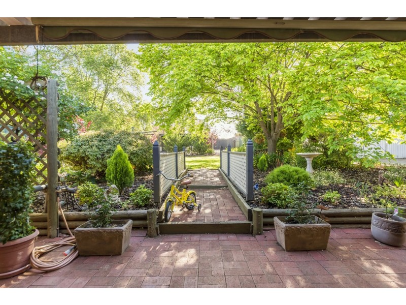 20 Rogers Street, Freeling SA 5372