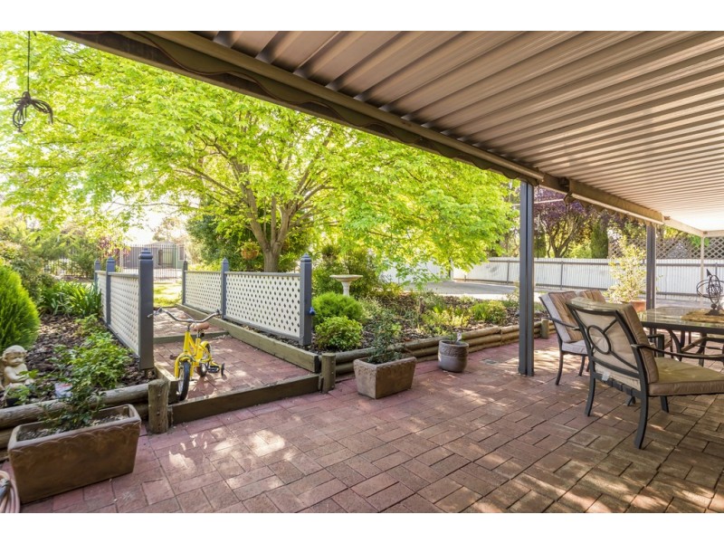 20 Rogers Street, Freeling SA 5372