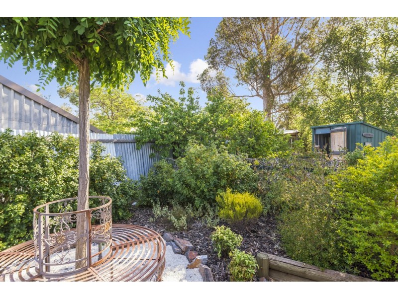 20 Rogers Street, Freeling SA 5372