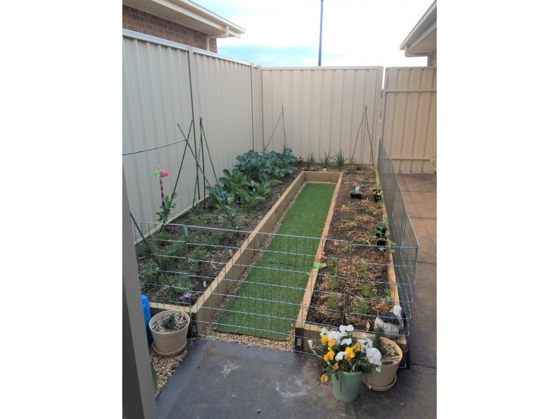 13 Pedler Blvd, Freeling SA 5372