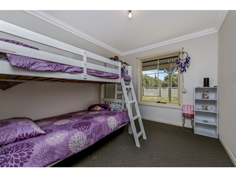 7 Falkenberg Road, Nuriootpa SA 5355