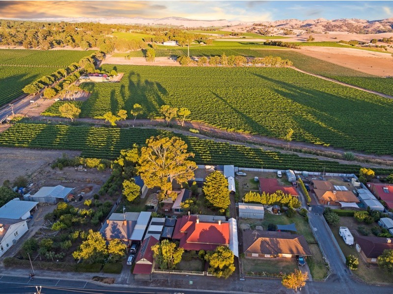 13 Lyndoch Valley Road, Lyndoch SA 5351