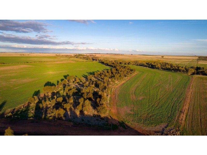 20 Hamley Bridge Road, Mallala SA 5502