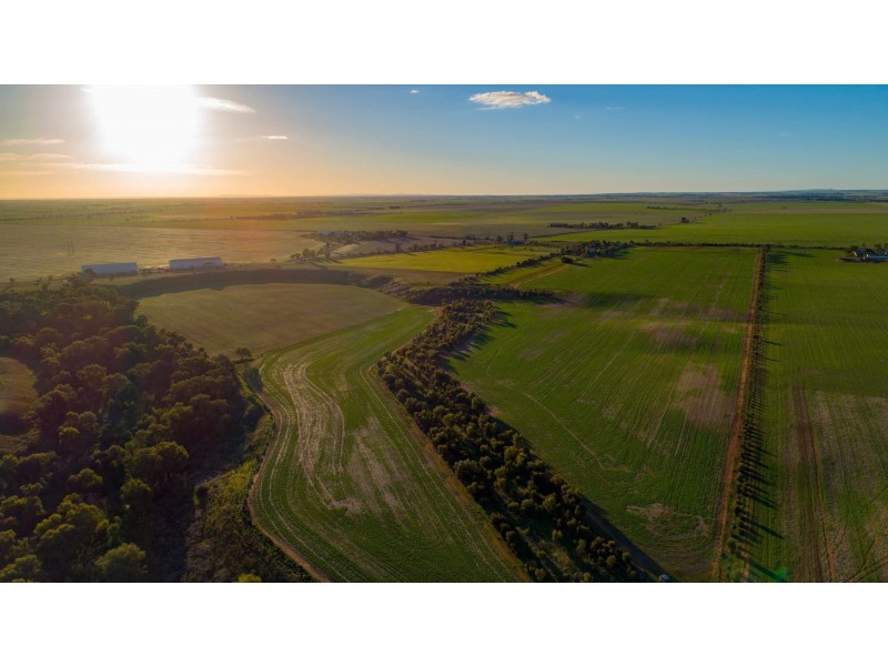 20 Hamley Bridge Road, Mallala SA 5502