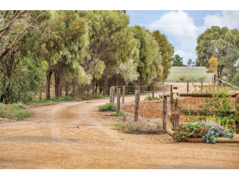 20 Hamley Bridge Road, Mallala SA 5502