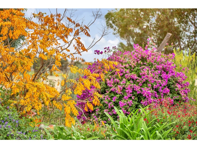 20 Hamley Bridge Road, Mallala SA 5502