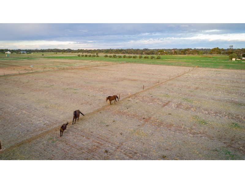 Lot 74 Clancy Road, Gawler Belt SA 5118