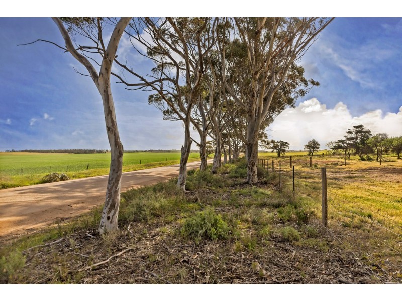 314 Hatcher Road, Ward Belt SA 5118