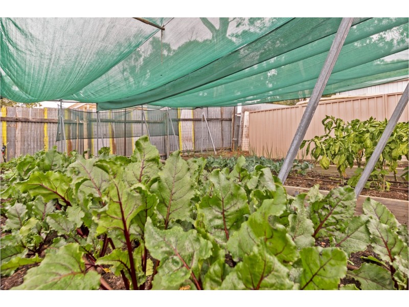 30 James Street, Kapunda SA 5373