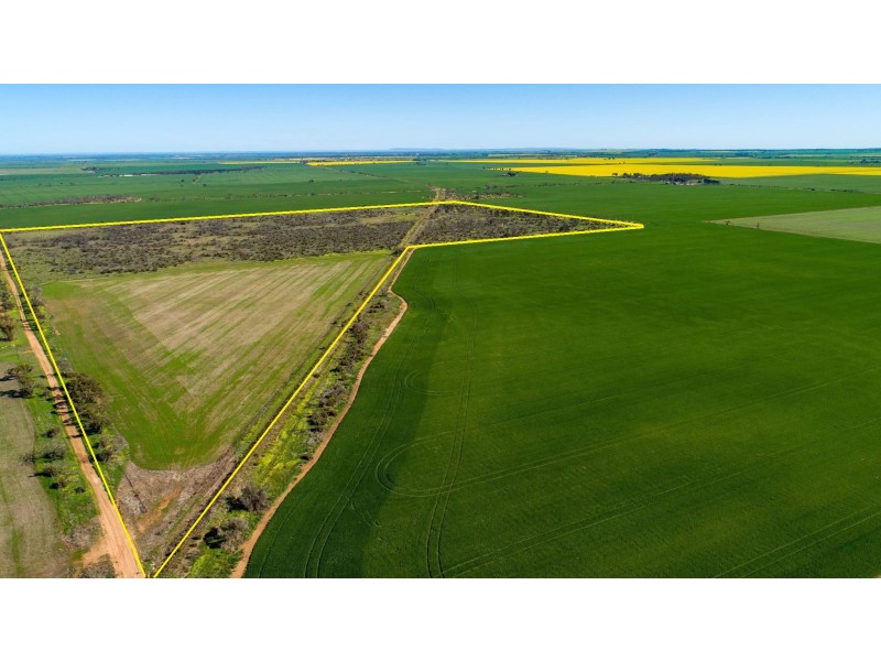 Lot 503 McCabe Road, Hamley Bridge SA 5401