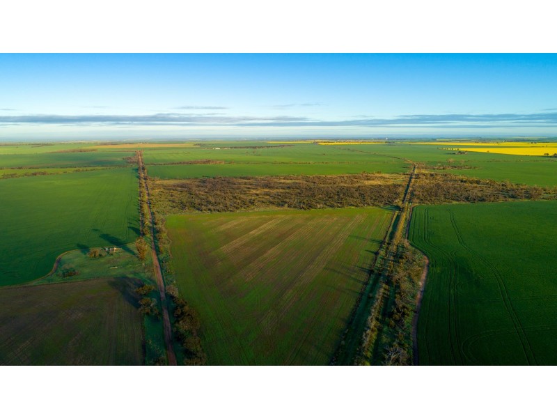 Lot 503 McCabe Road, Hamley Bridge SA 5401