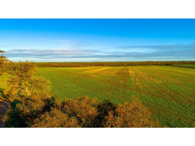 Lot 503 McCabe Road, Hamley Bridge SA 5401