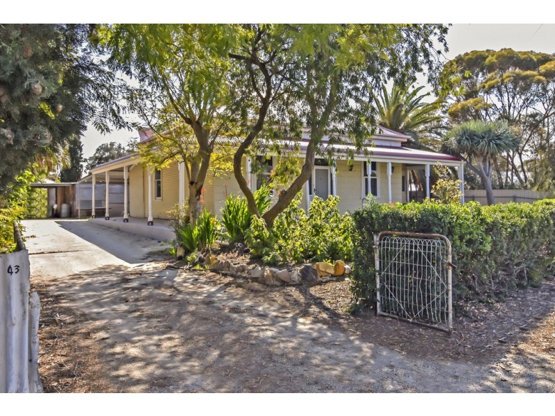 43 Borrow Street, Freeling SA 5372