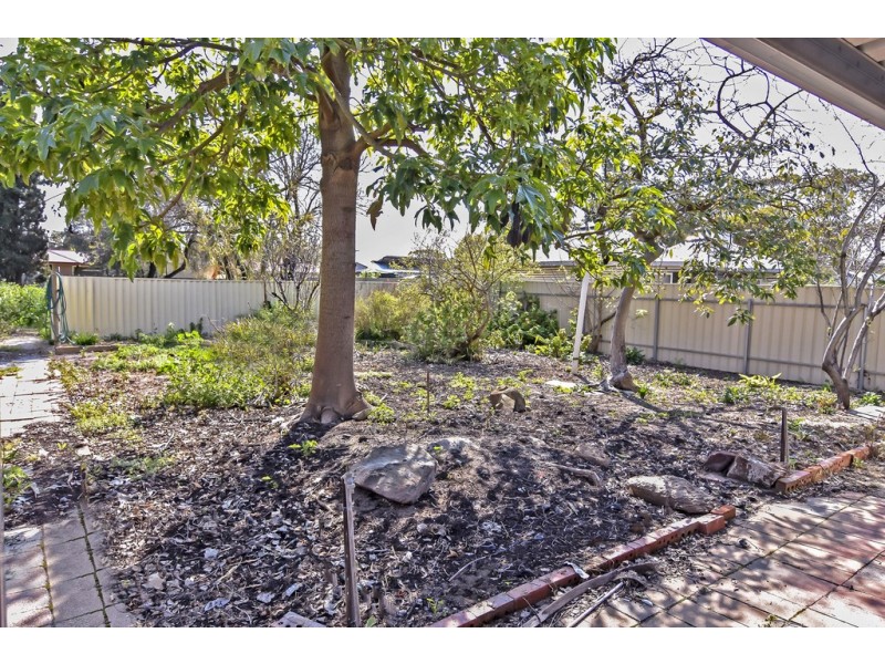 43 Borrow Street, Freeling SA 5372