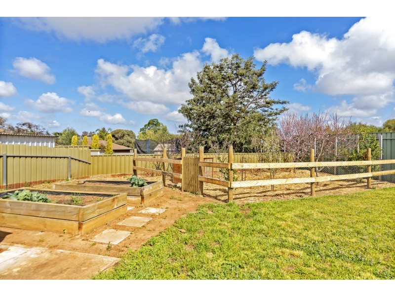 31 Causby Crescent, Willaston SA 5118