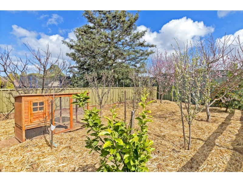 31 Causby Crescent, Willaston SA 5118