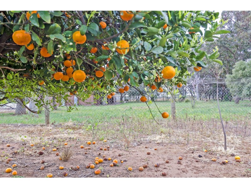 207 Short Road, Penfield Gardens SA 5121