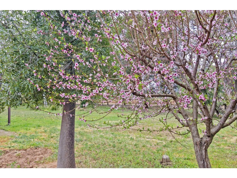 207 Short Road, Penfield Gardens SA 5121