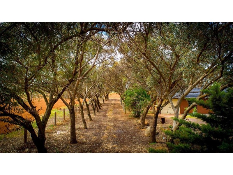 207 Short Road, Penfield Gardens SA 5121