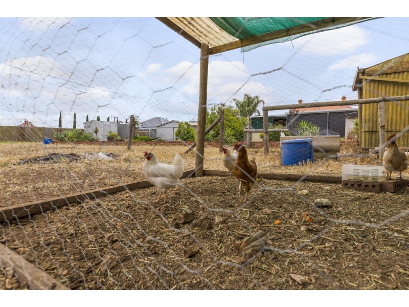 37 Aerodrome Road, Mallala SA 5502