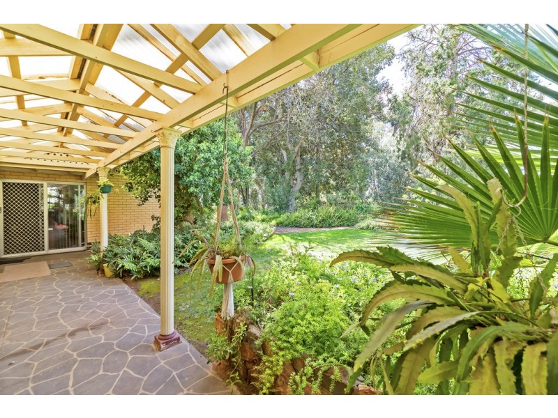 19 Sunnydale Ave, Gawler East SA 5118