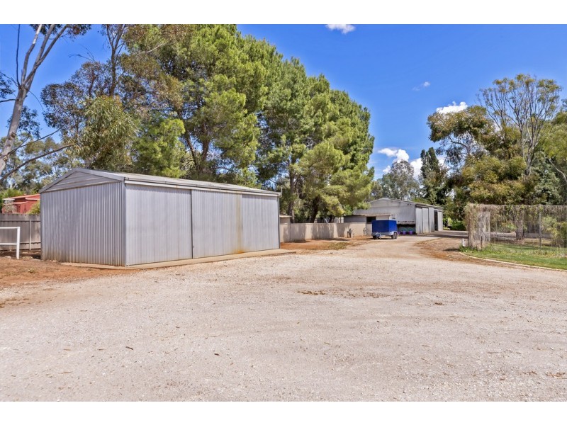 19 Sunnydale Ave, Gawler East SA 5118