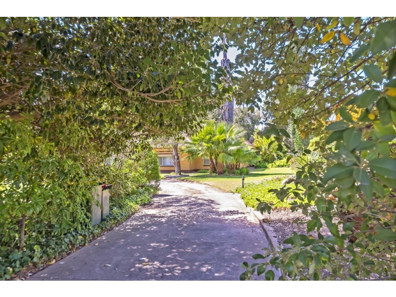 19 Sunnydale Ave, Gawler East SA 5118