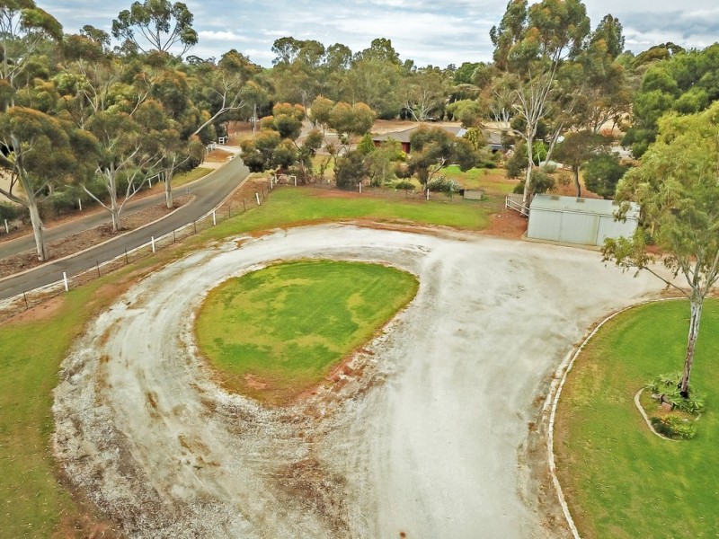 19 Sunnydale Ave, Gawler East SA 5118