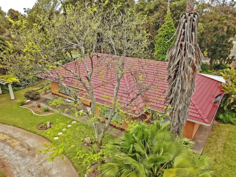 19 Sunnydale Ave, Gawler East SA 5118