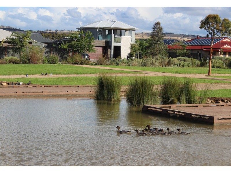 29 Hamilton Boulevard, Evanston Gardens SA 5116