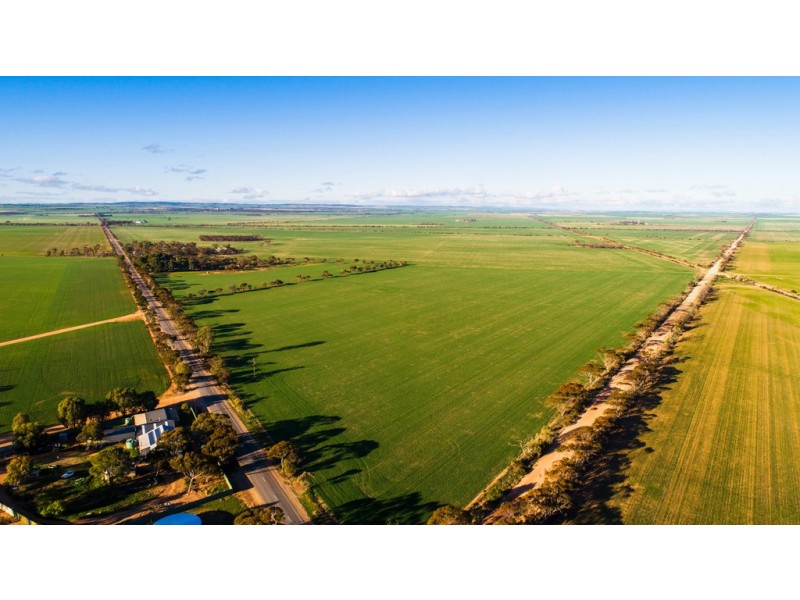 821 Pinery Road, Mallala SA 5502