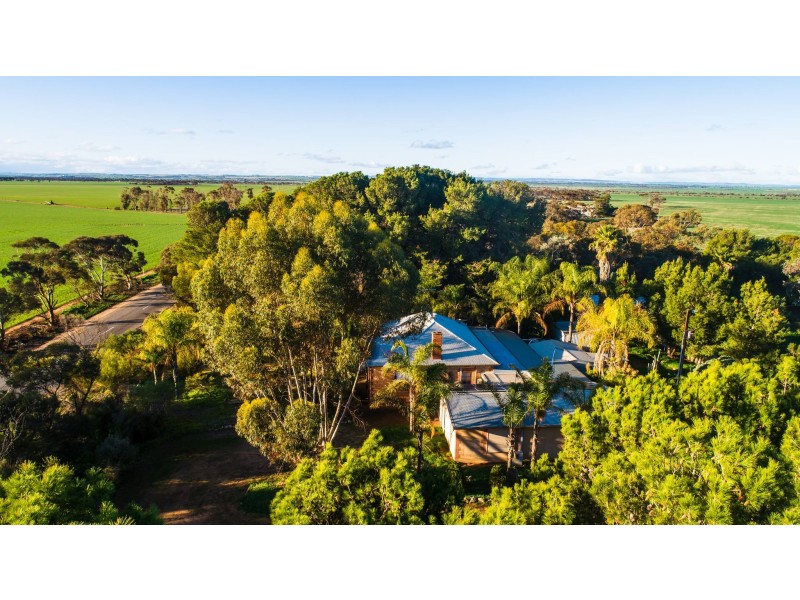821 Pinery Road, Mallala SA 5502