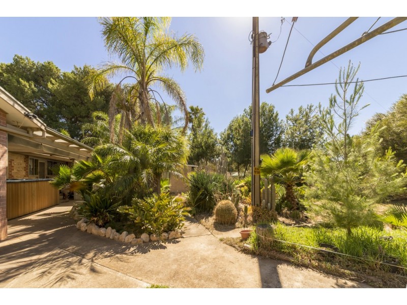 821 Pinery Road, Mallala SA 5502