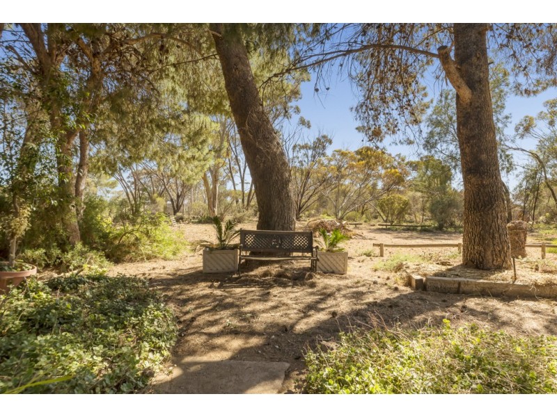821 Pinery Road, Mallala SA 5502