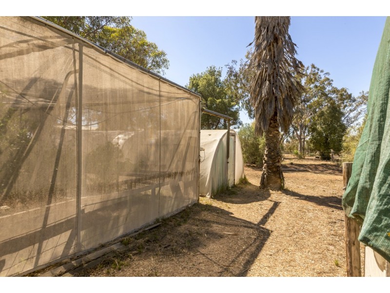 821 Pinery Road, Mallala SA 5502