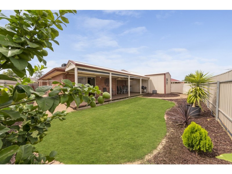 5 Creedon Close, Evanston Park SA 5116