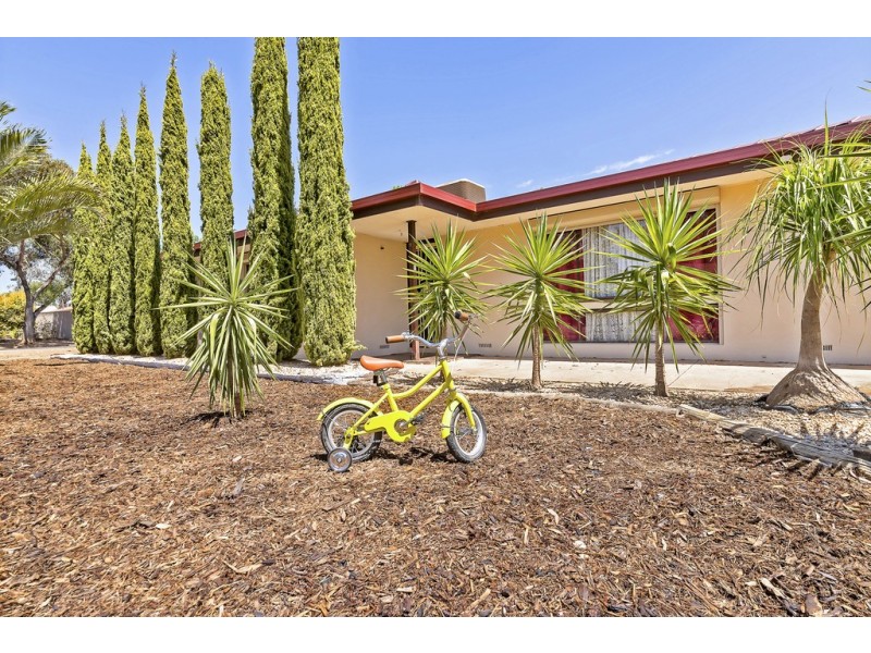 21 Hindmarsh Boulevard, Evanston Gardens SA 5116
