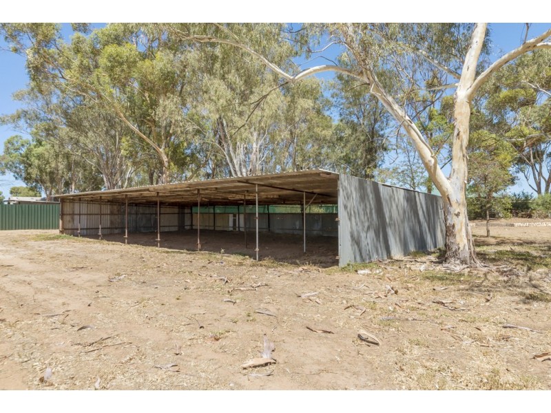 5A Fertile Avenue, Two Wells SA 5501