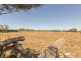 5A Fertile Avenue, Two Wells SA 5501