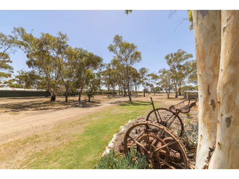 5A Fertile Avenue, Two Wells SA 5501