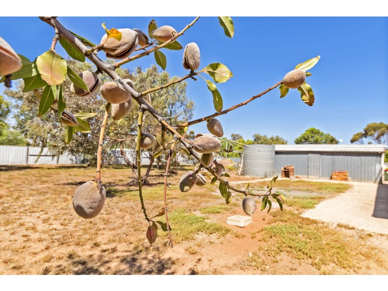 20 Seventh Street, Dublin SA 5501