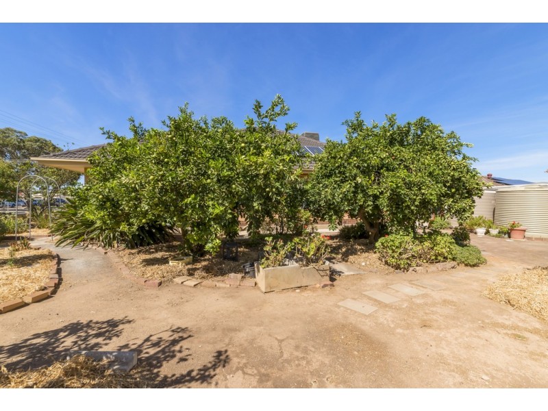 1 Elizabeth Street, Mallala SA 5502