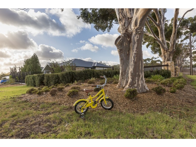 2 Squires Place, Gawler South SA 5118